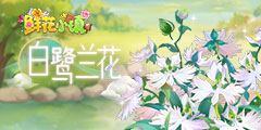 鲜花小镇